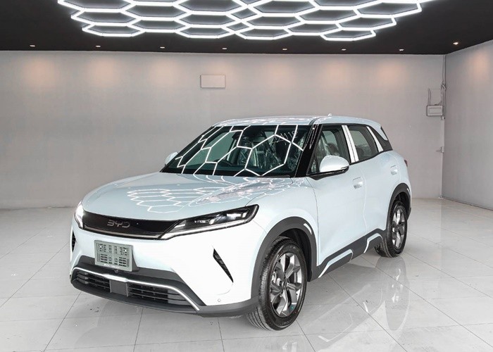 BYD 
                                                            for Sale for Sale